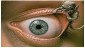 زهرة الخليج نيو : الغيرة بين نار الحسد وظل الحماية.