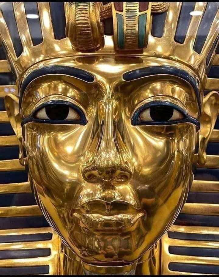 المتحف المصري الكبير يترقب دخول “غينيس”.. الأكبر في العالم من حيث عدد القطع الأثرية و المعروضات