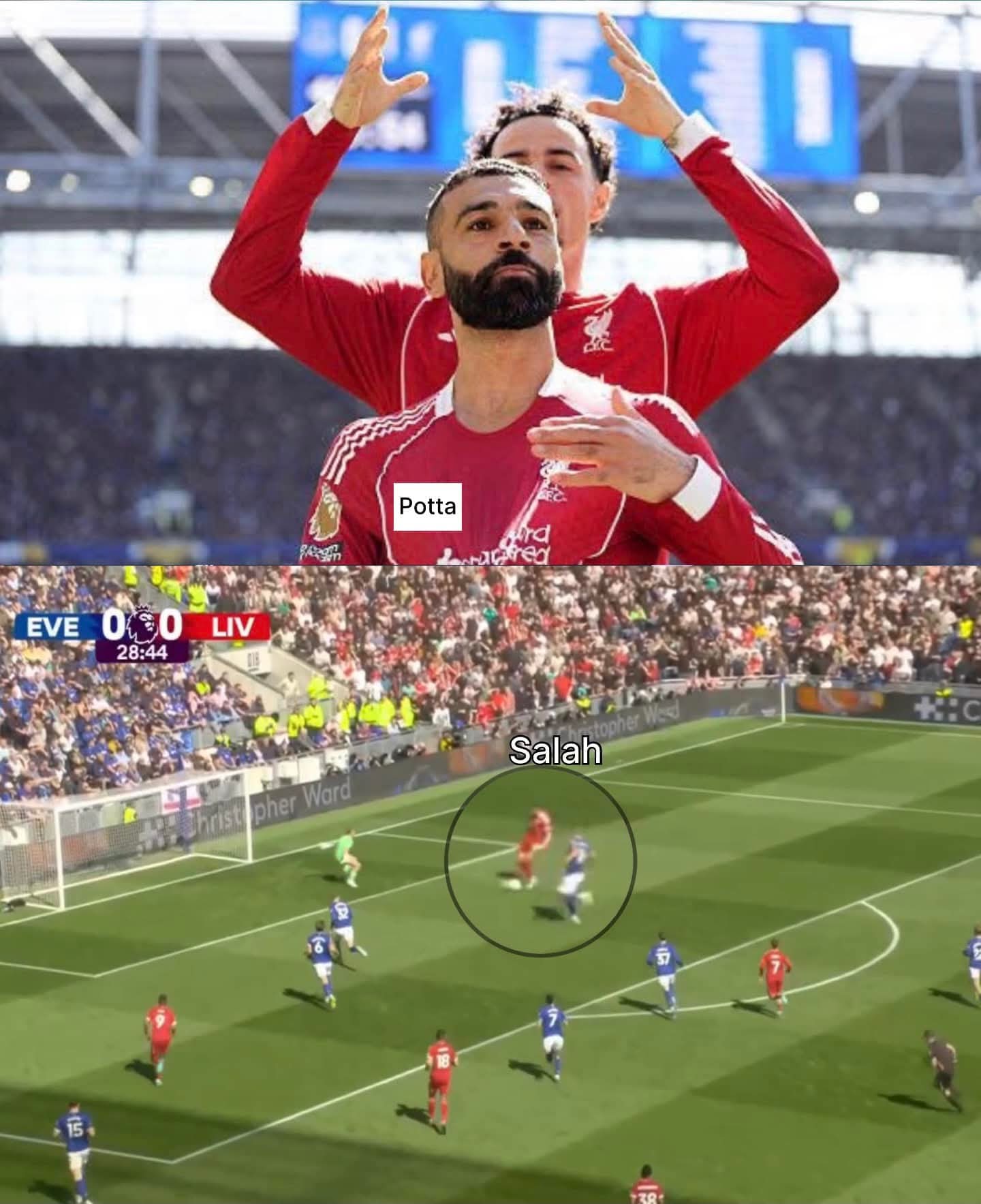 المشهداللي قدامك ده عظيم.